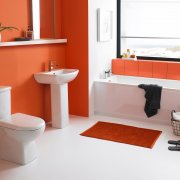 Peinture pour murs dans la salle de bain: comment choisir et comment appliquer