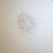 Des taches sont apparues sur du papier peint liquide, que dois-je faire?